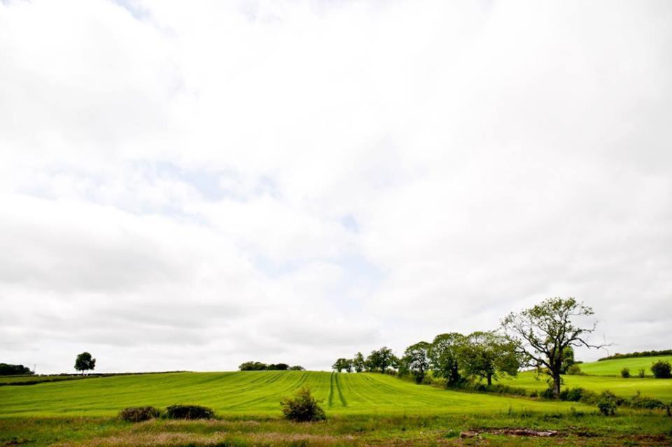 Bamflatt Farm Bed & Breakfast Strathaven Phòng bức ảnh
